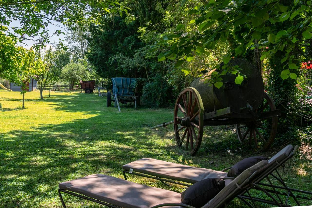 Gites Domaine Des Machottes Grans Esterno foto